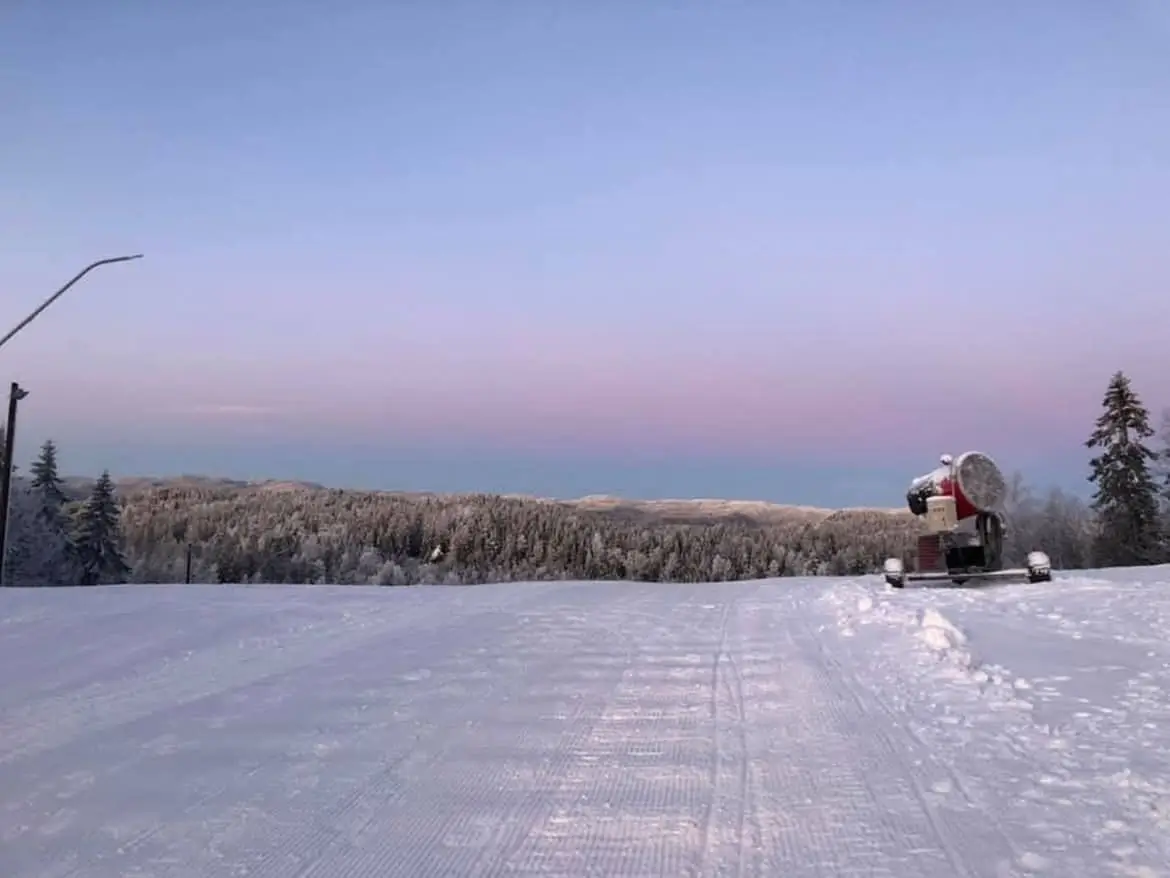 openingAnnouncementTitle